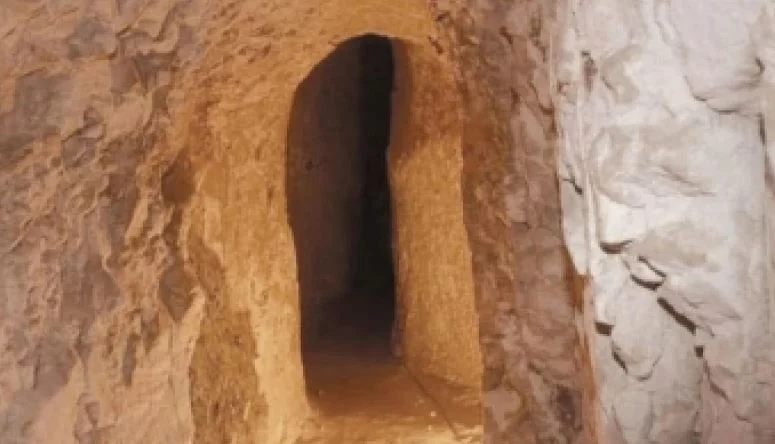ارشيفية.     