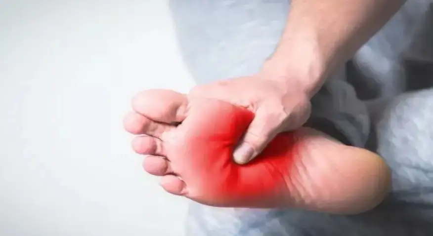 ارشيفية
