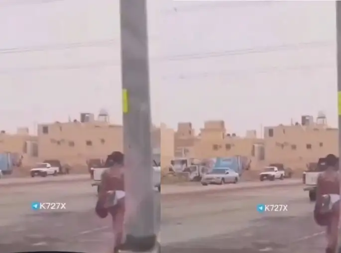 ارشيفية