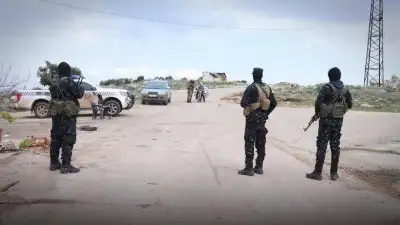 ارشيفية 