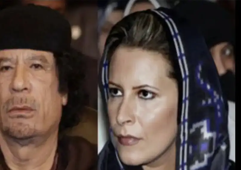 ارشيفية 