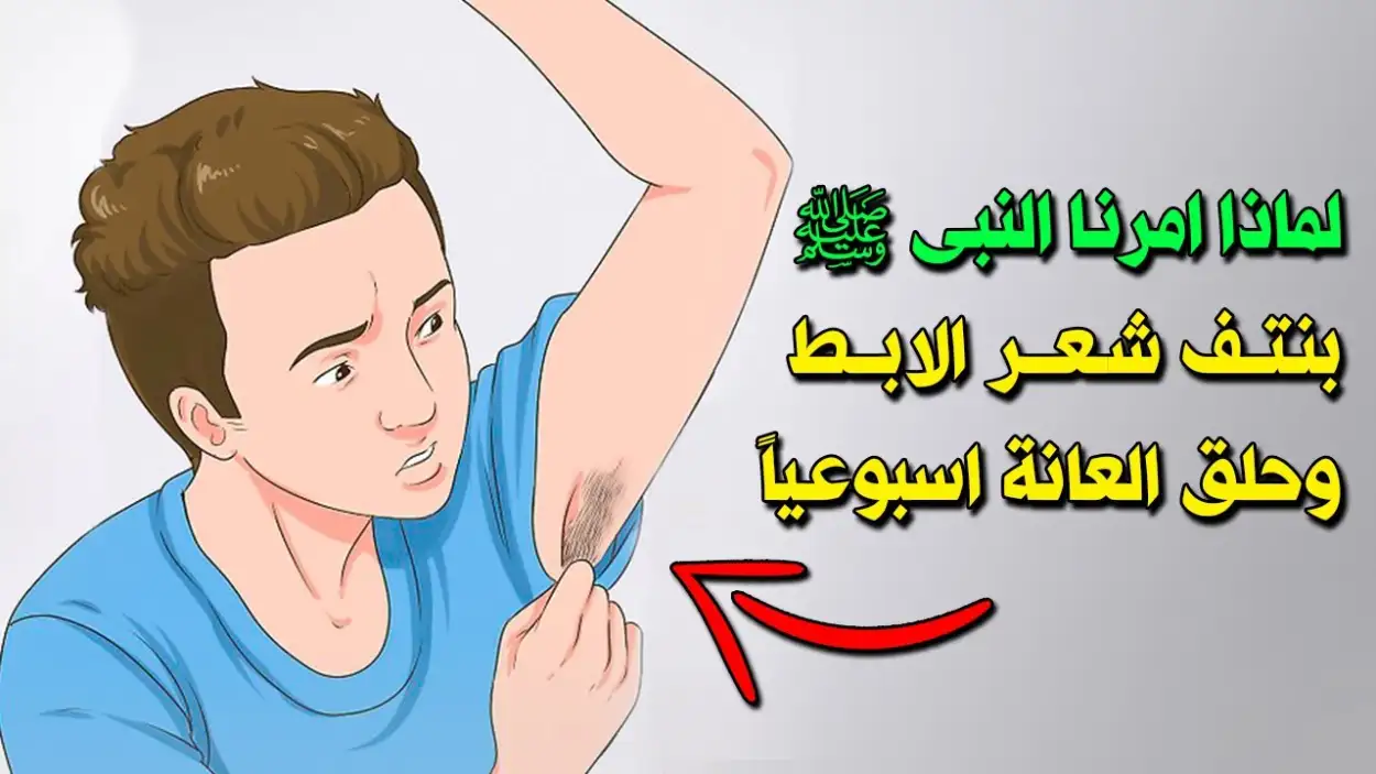 إرشيفة