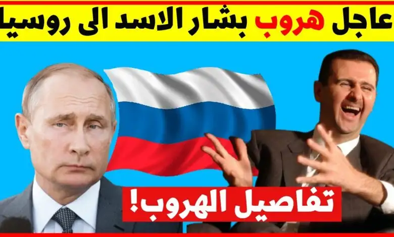 ارشيفية.     