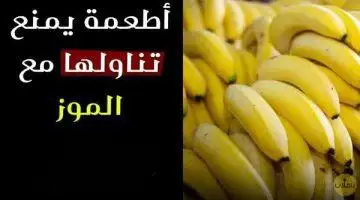 ارشيفية. 