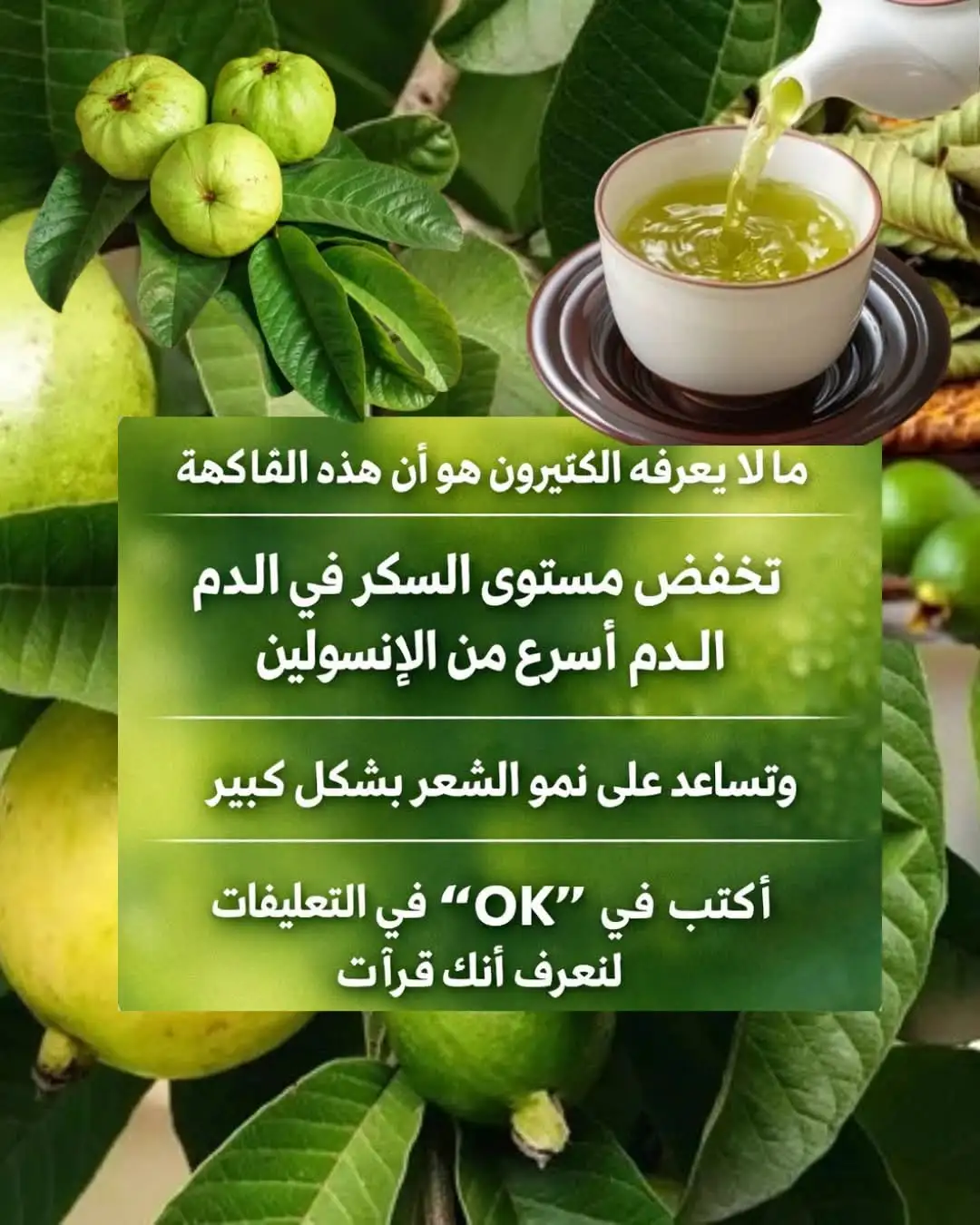 ارشيفية 