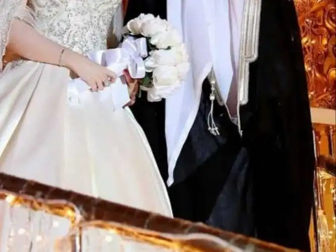 ارشيفية