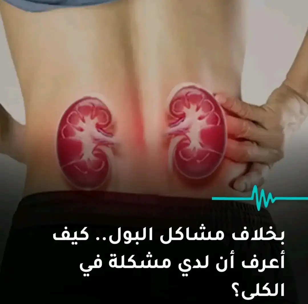 ارشيفية 