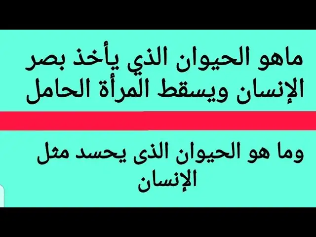 ارشيفية