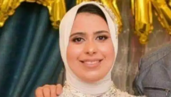 ارشيفية 