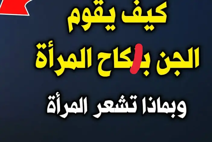 ارشيفية 