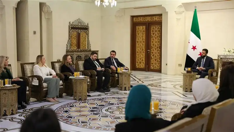 ارشيفية 