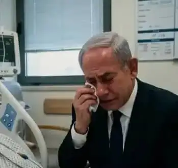 ارشيفية 