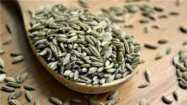 ارشيفية 