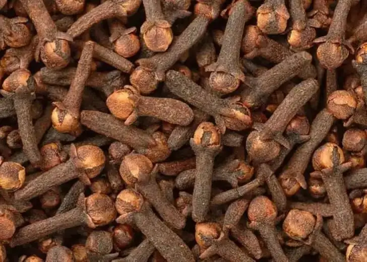 ارشيفية 