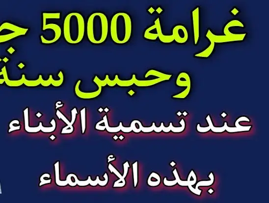 إرشيفة