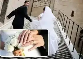 أرشيفة 