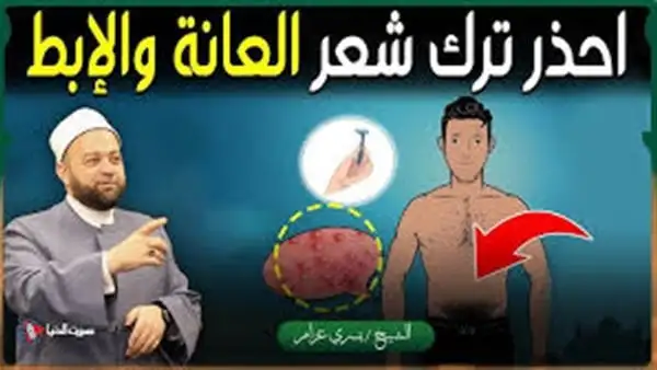 ارشيفية