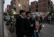 ارشيفية 