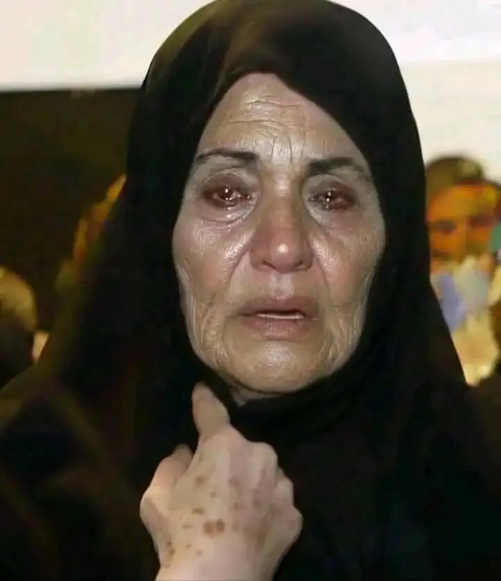   ارشيفية
