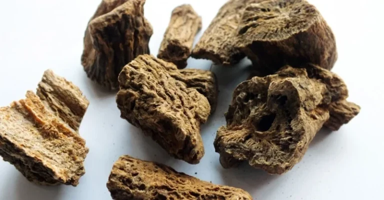 ارشيفية