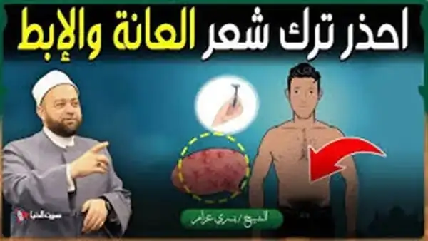 ارشيفية 