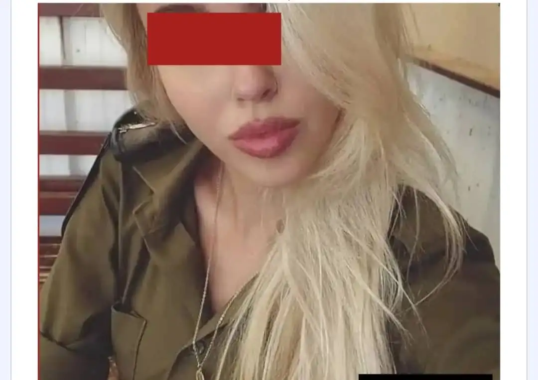 ارشيفية 