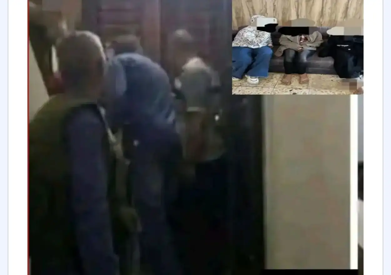 ارشيفية