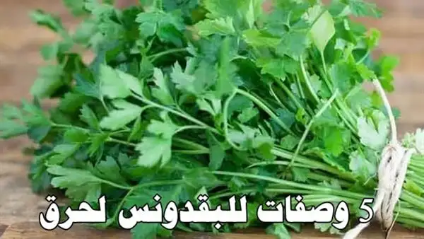أرشيفة 