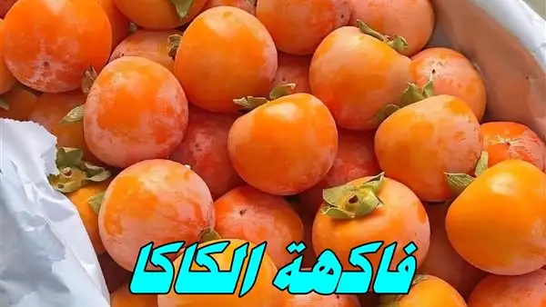أرشيفة 
