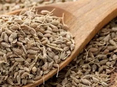 ارشيفية 