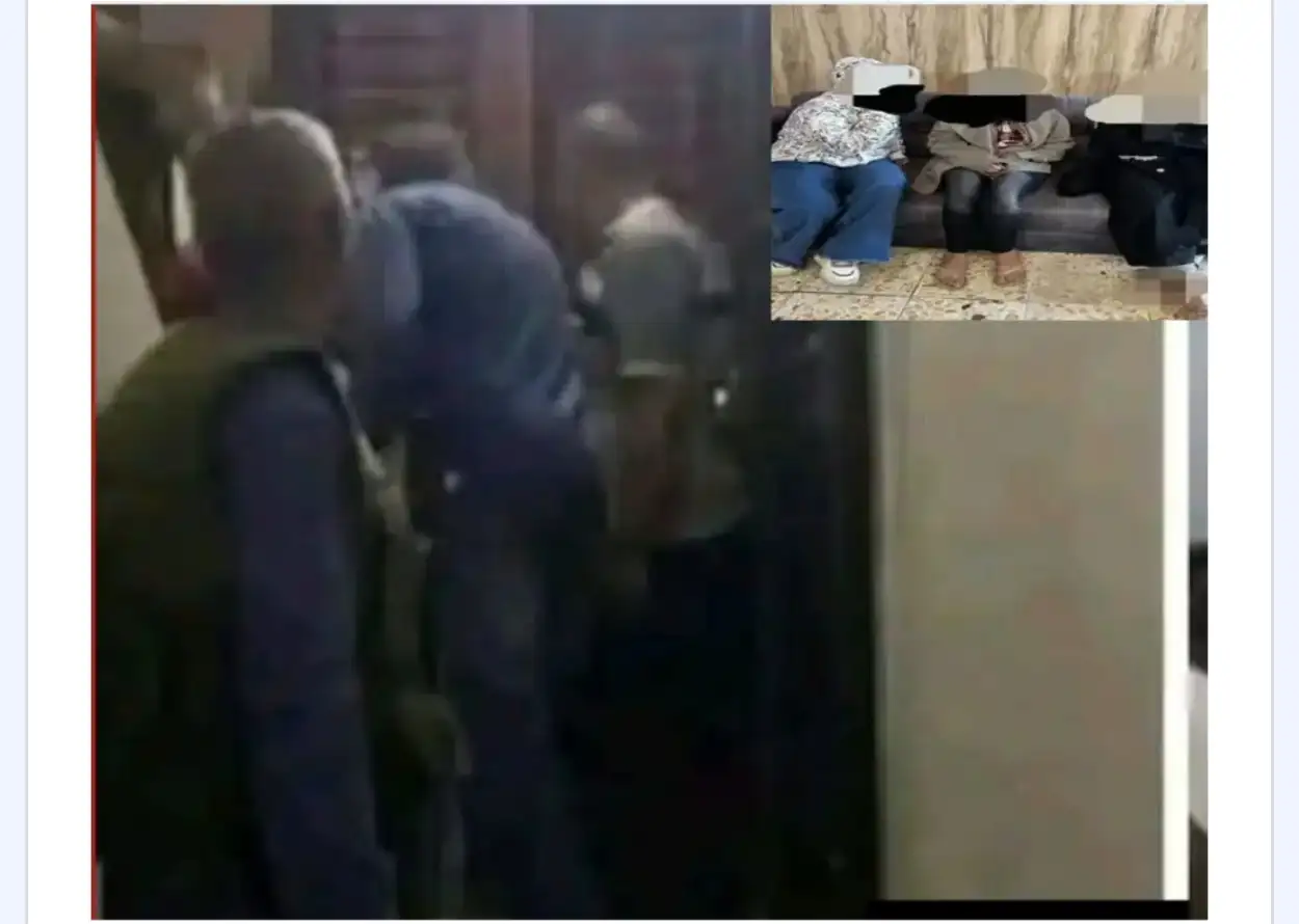 ارشيفية