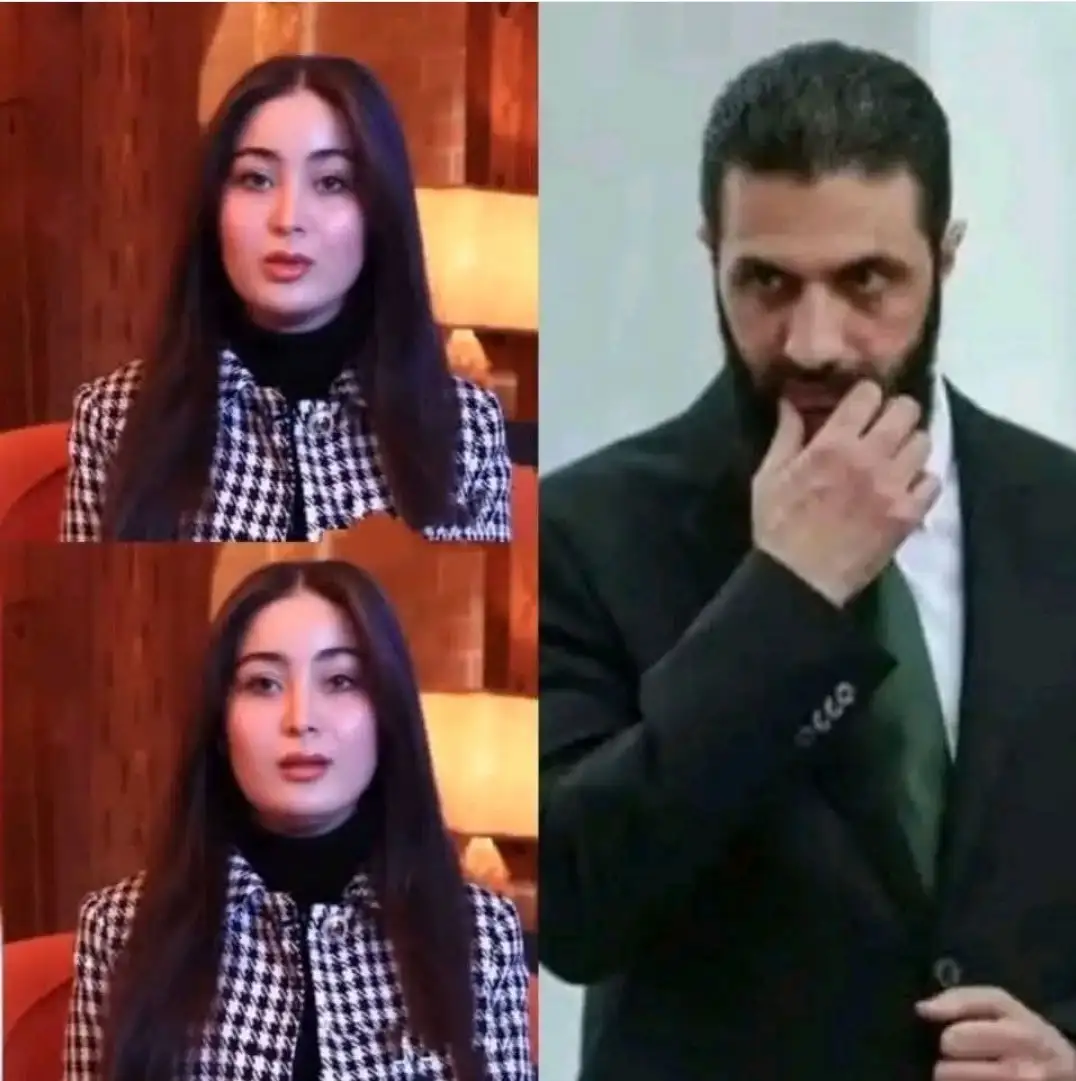 ارشيفية 