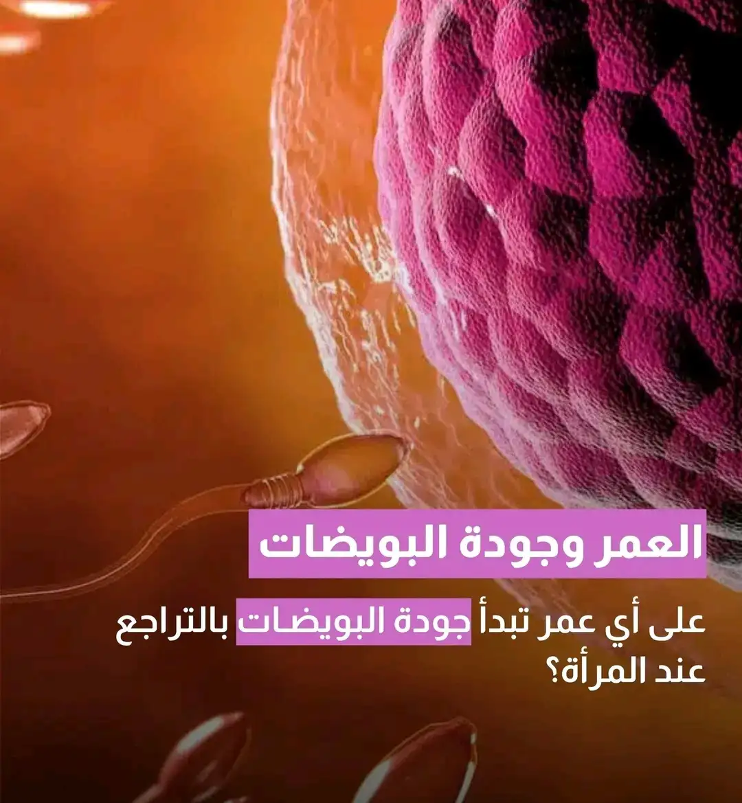 ارشيفية 