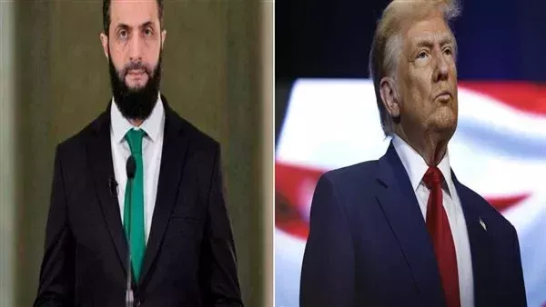 ارشيفية.     