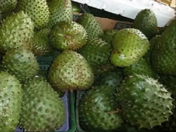 إرشيفة