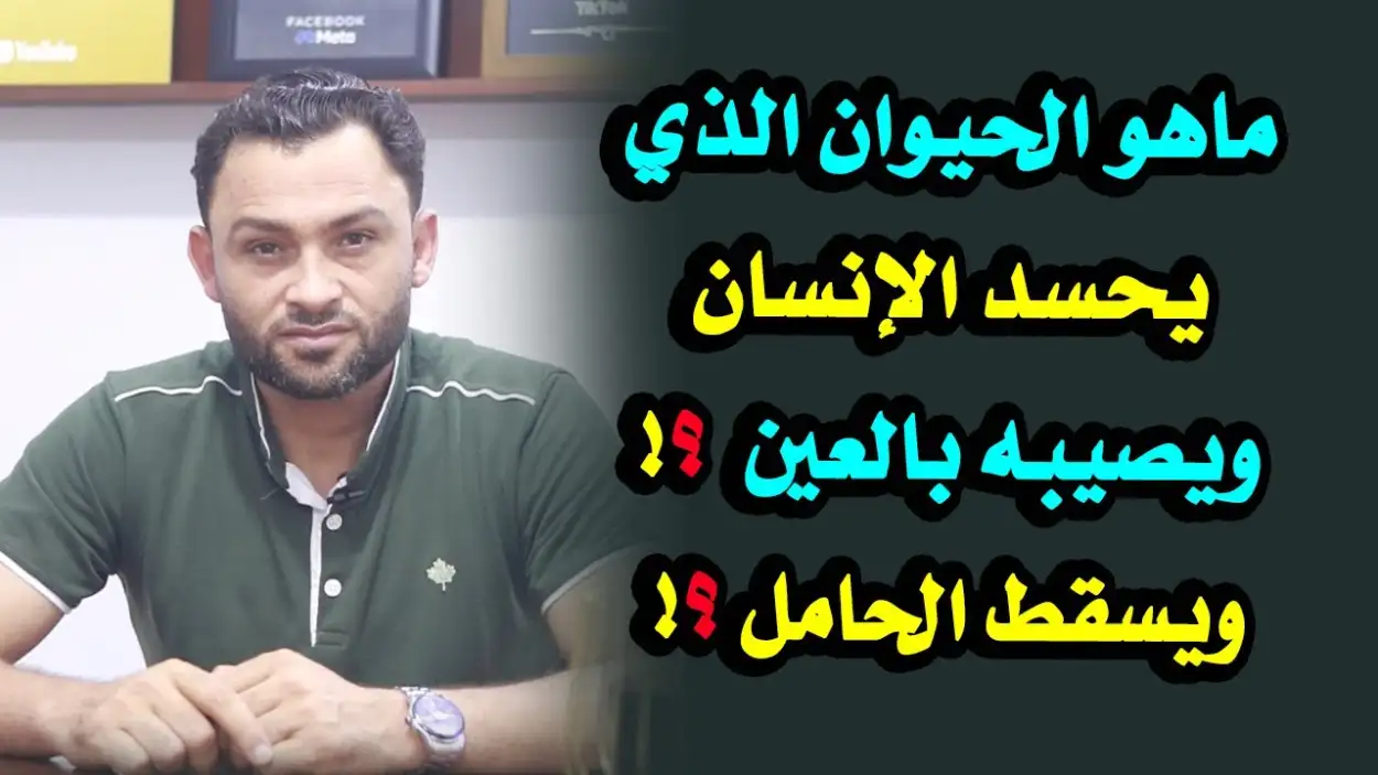   ارشيفيه