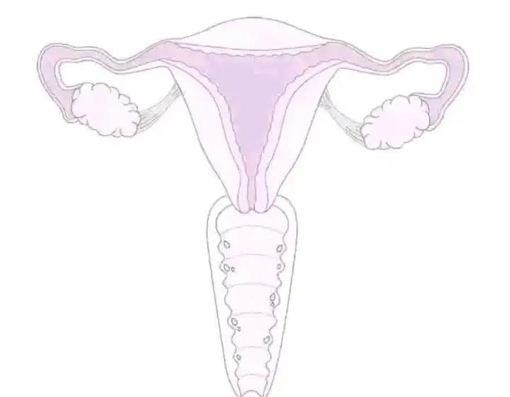 ارشيفية.     