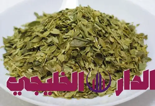 العشبة السحرية المختبئة في مطبخك.. حل جذري لمشاكل القولون والإمس