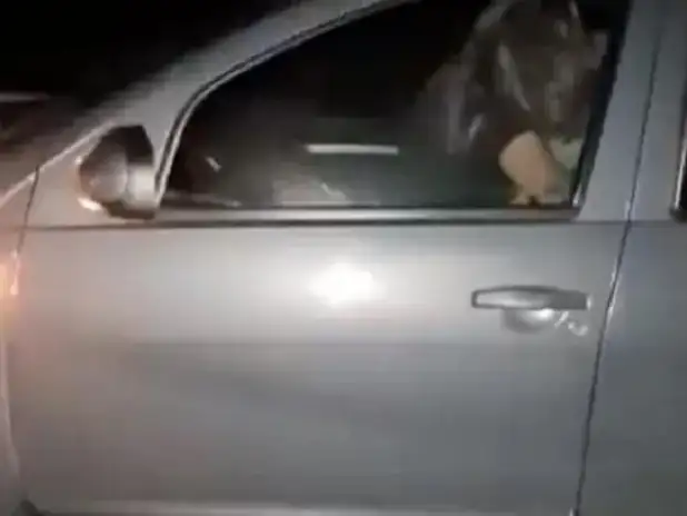 إرشيفة