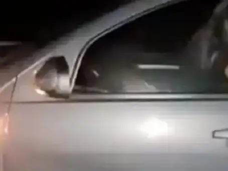 إرشيفة