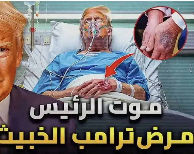 ارشيفية 
