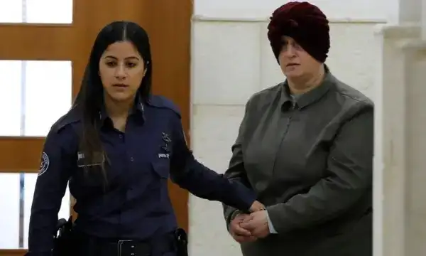 ارشيفية 