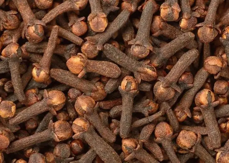 ارشيفية 