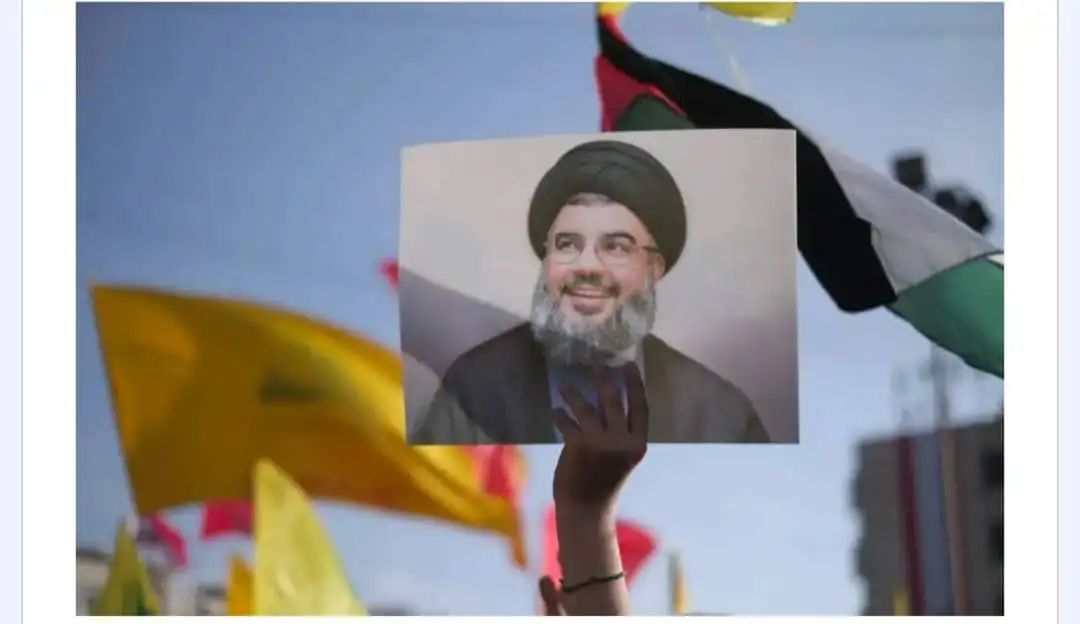 ارشيفية 