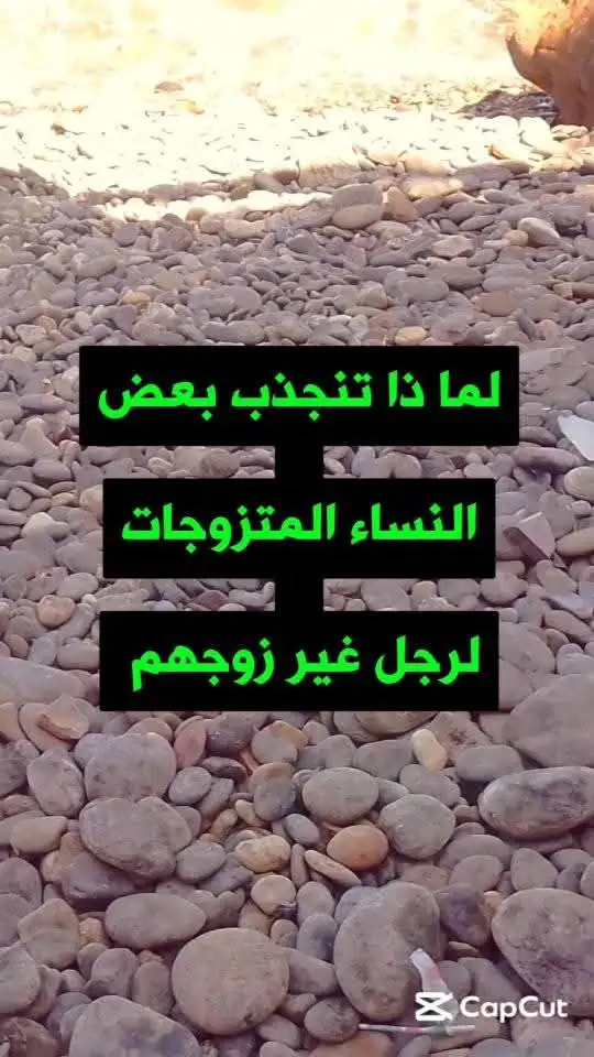 ارشيفية.     