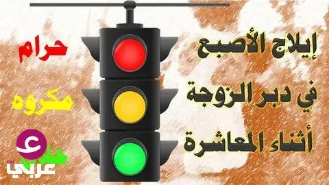 عضل النساء: الظلم الذي حرّمه النبي وعقوبة من يأتي زوجته من الخلف