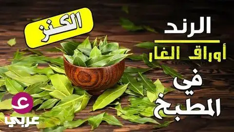 ـوائد ورق الغار في المنزل لن تستغنى عنها عـ.ـلاج الكثير من المشـ