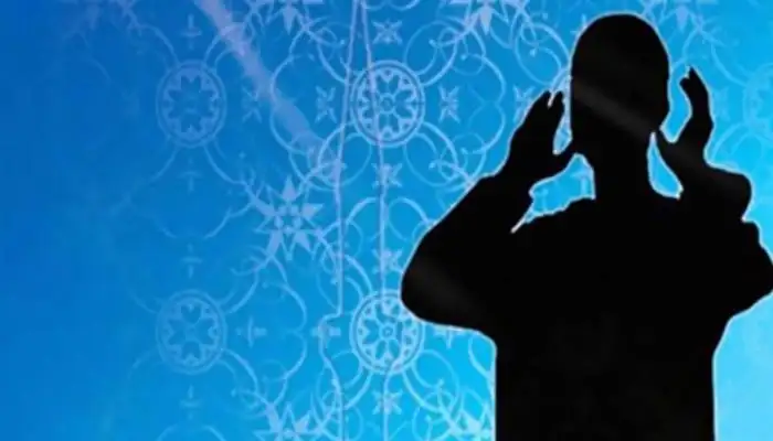 ارشيفية 