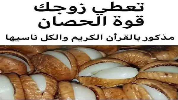 ارشيفية