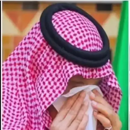 ارشيفية 